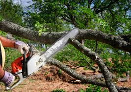 Best Lot and Land Clearing  in Baxter Estates, NY